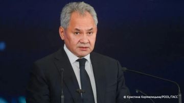 Удар по колледжу в Старобельске не является случайностью, это спланированная террористическая атака с прицельным наведением, сообщил Шойгу