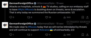 Германия угрожает российскому послу за призывы заблаговременно убраться из Киева