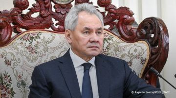 Удар по колледжу в Старобельске не является случайностью, это спланированная террористическая атака с прицельным наведением, заявил Шойгу