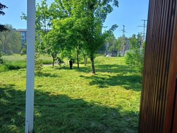 Продолжается покос в парках и скверах города