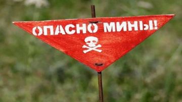 19-летний студент подорвался на неизвестном предмете возле Северского Донца в ЛНР