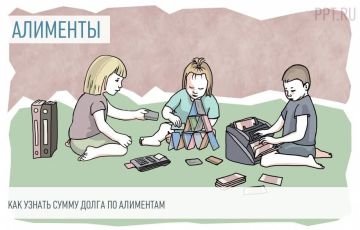 Родитель вправе взыскать задолженность по алиментам из пенсионных выплат