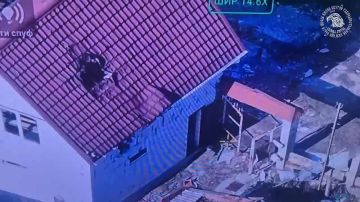 ����� ������ ����������� FPV-����� "������ ������"