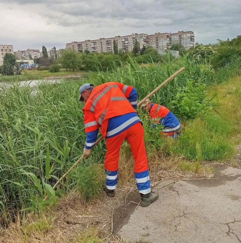 Коммунальными службами проведены работы на территории города Коммунальными службами проведены работы на территории города