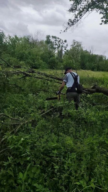 В Юрьевке бригада из Удмуртии продолжает спил аварийных деревьев в сквере В Юрьевке бригада из Удмуртии продолжает спил аварийных деревьев в сквере