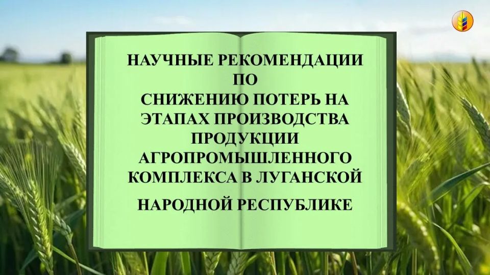 «Как минимизировать потери в сельском хозяйстве» — для фермеров ЛНР выпустили практические рекомендации по снижению потерь