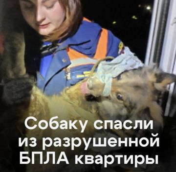 ������ 10 ���� �������� � ����������� ���� ��������