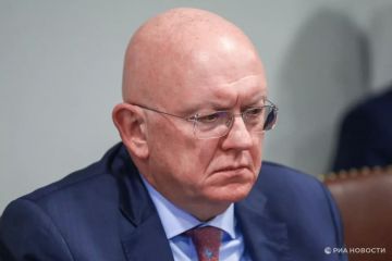 Кровь детей Старобельска — на руках стран Запада, которые на протяжении лет снабжают режим Зеленского, сказал Небензя