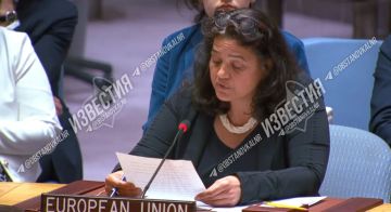 Представительница Евросоюза на заседании Совбеза ООН заявила, что если Россия хочет, чтобы ей «поверили», то она должна обеспечить доступ для «независимого расследования»