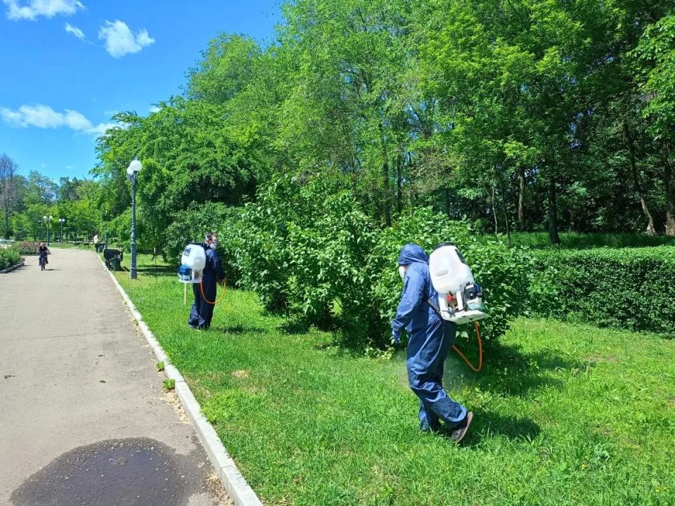 В Луганске проводят обработку парков от клещей В Луганске проводят обработку парков от клещей