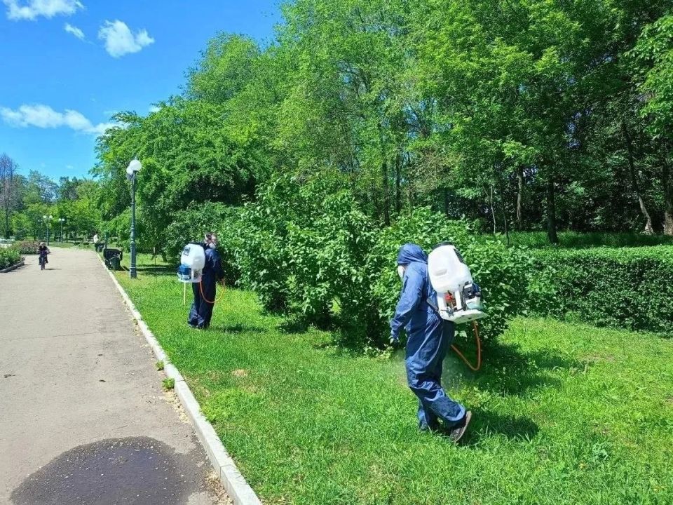 В ЛНР уже более 450 укусов клещей с начала года, парки Луганска обрабатывают! В ЛНР уже более 450 укусов клещей с начала года, парки Луганска обрабатывают!