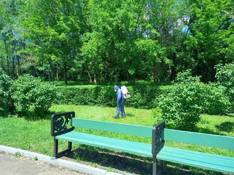 В Луганске проводят обработку парков от клещей В Луганске проводят обработку парков от клещей