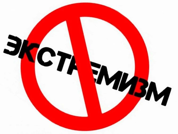 Из школьников в экстремисты