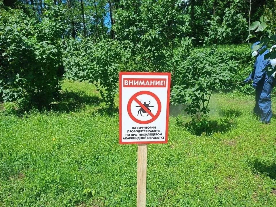 В ЛНР уже более 450 укусов клещей с начала года, парки Луганска обрабатывают!