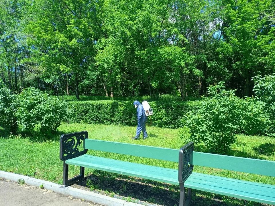 В Луганске начали обрабатывать парки от клещей
