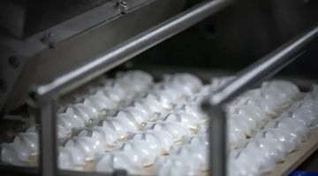 «ЛД Луганск» на ПМЭФ-2026 презентует сувенирные печатные пряники и натуральный зефир