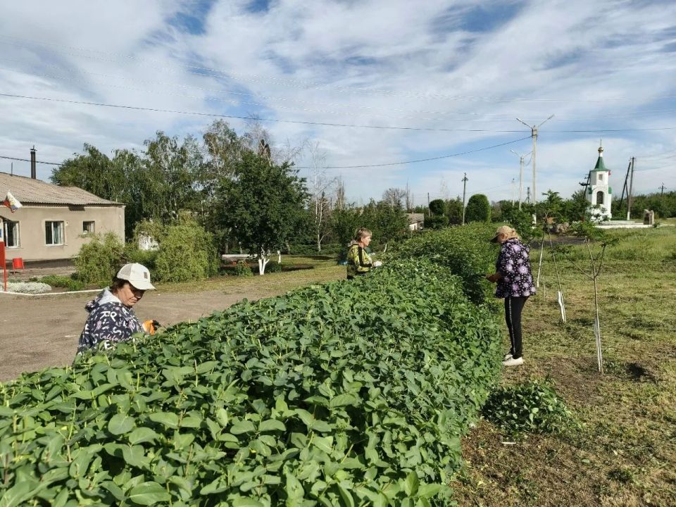 В период с 25 по 29 мая в Городище прошли субботники В период с 25 по 29 мая в Городище прошли субботники