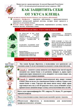 Тихий охотник: как не подцепить клеща и что делать, если он впился