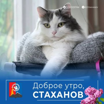������ ����! �������� ��������!