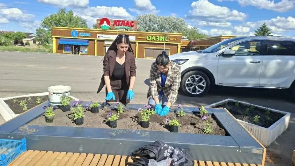 Акция "Растим добро" расцвела на Центральной площади! Акция "Растим добро" расцвела на Центральной площади!
