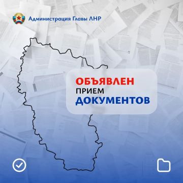 Андрей Губарев: Объявлен приём заявок на получение субсидий для НКО из бюджета Луганской Народной Республики