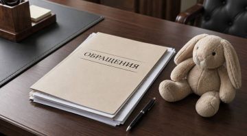 Аппарат уполномоченного по правам ребенка ЛНР с начала года удовлетворил 80% обращений