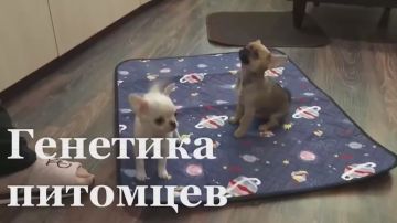� ��������� ��������� ������ ����� ����� ������������ ���� ��� ����� � �����