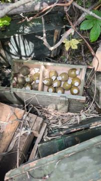 В ЛНР силовики нашли схрон с боеприпасами боевиков "Айдара"