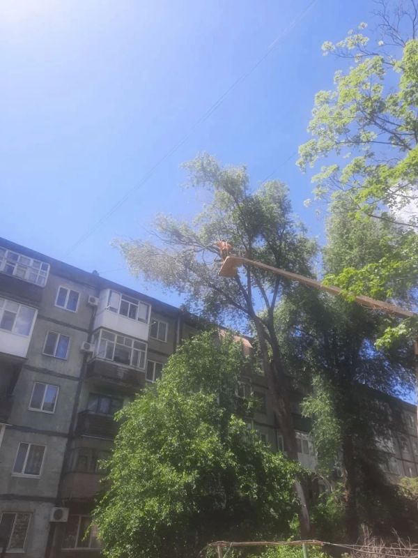 «Спецкомавтотранс» и «ЖЭК» продолжают работы по благоустройству «Спецкомавтотранс» и «ЖЭК» продолжают работы по благоустройству