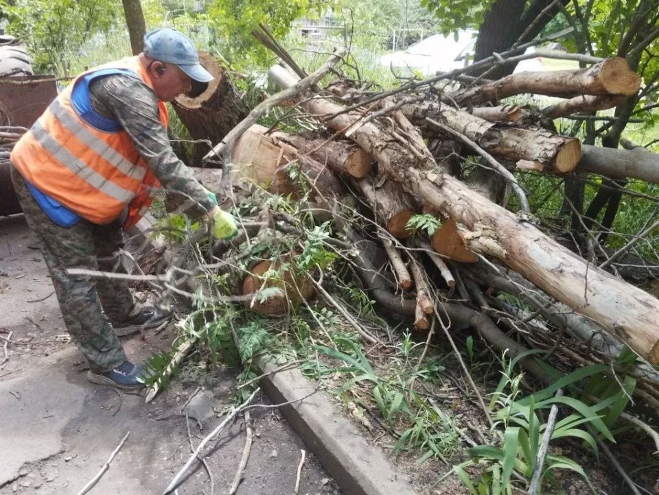 Коммунальные службы городского округа занимаются спилом аварийных деревьев Коммунальные службы городского округа занимаются спилом аварийных деревьев
