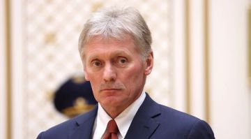 Киевский режим делает все, чтобы затормозить мирный процесс — Песков