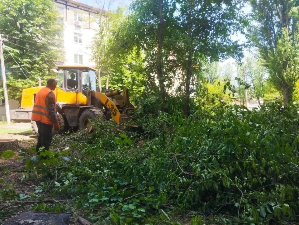 Коммунальные службы городского округа занимаются спилом аварийных деревьев Коммунальные службы городского округа занимаются спилом аварийных деревьев
