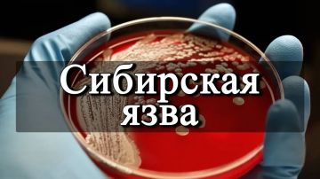 � ����� � ���������� �������������� �������� �� ����� ������� ������������ ��������, � ��������� ��������� ���� �� ���������� ��������� ���������� ���������, � ��� ����� ��������������� ���������� � ����������� ���������...