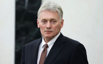 Песков заявил, что на фоне террористических действий Киева говорить о переговорах сегодня трудно