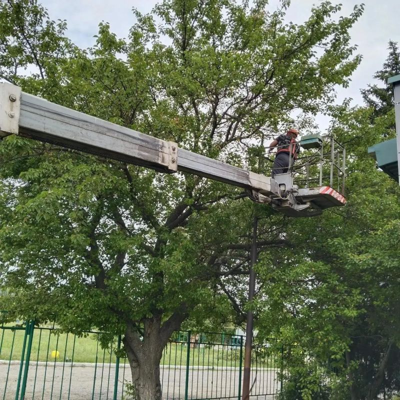 В спортивной школе в Лутугино завершается ремонт системы электроснабжения В спортивной школе в Лутугино завершается ремонт системы электроснабжения