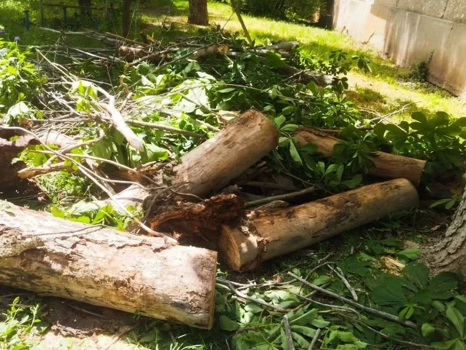Коммунальные службы городского округа занимаются спилом аварийных деревьев Коммунальные службы городского округа занимаются спилом аварийных деревьев