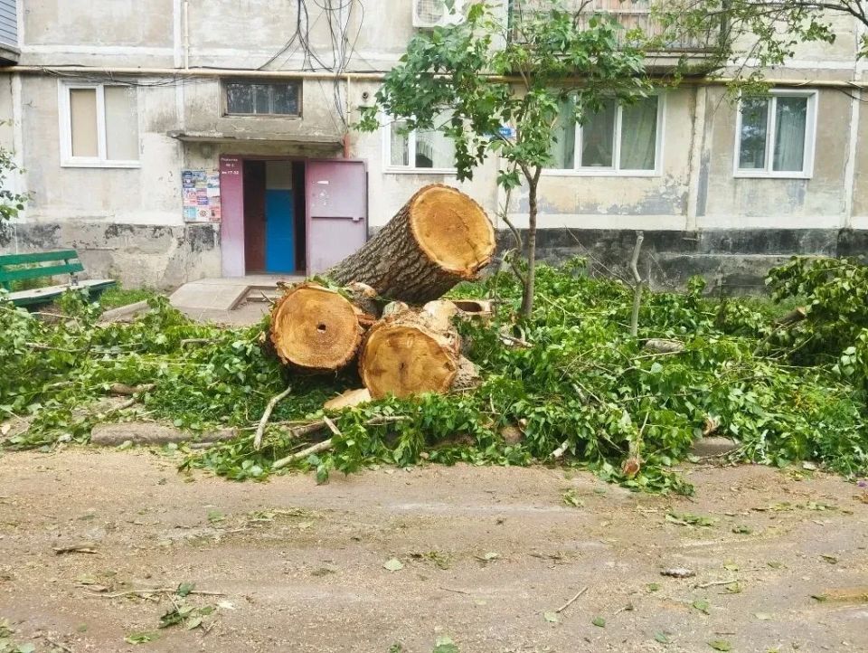 Коммунальные службы городского округа занимаются спилом аварийных деревьев Коммунальные службы городского округа занимаются спилом аварийных деревьев