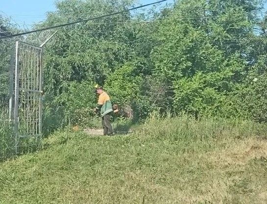 Службы ЖКХ продолжают работы по покосу травы на территории города Службы ЖКХ продолжают работы по покосу травы на территории города
