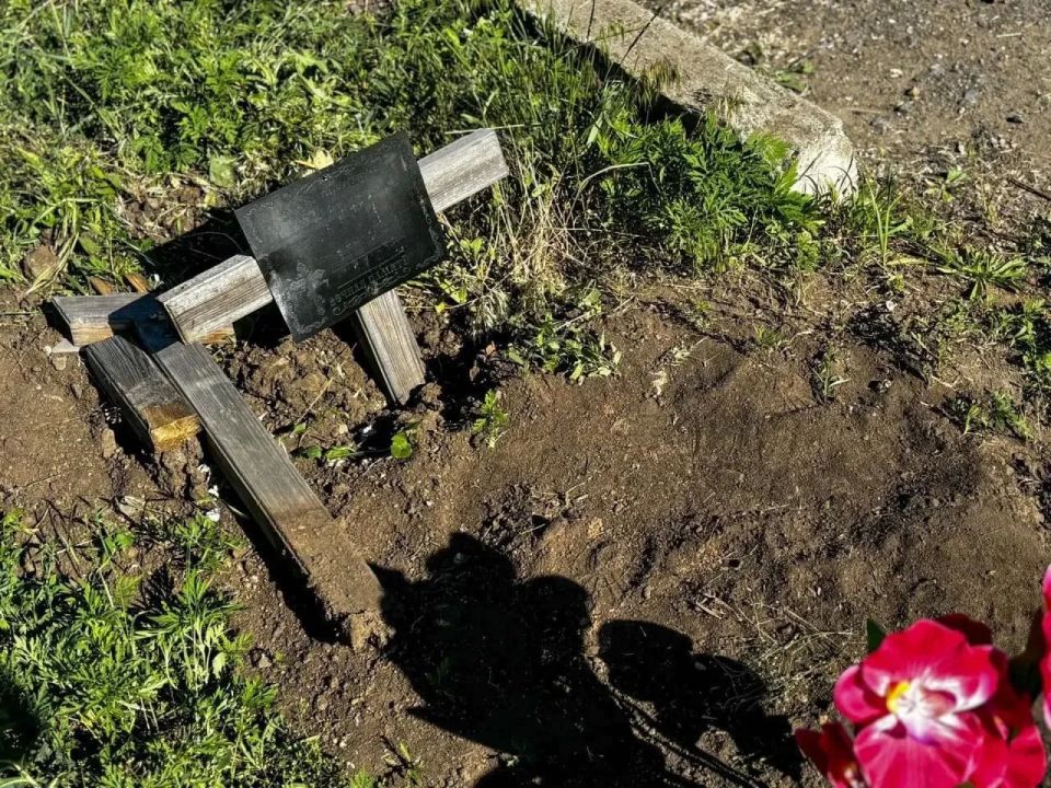 Мужик на машине проехался по кладбищу в Луганске
