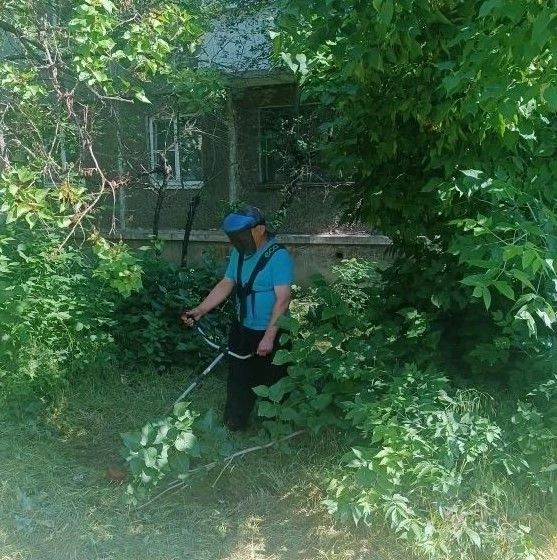 Службы ЖКХ продолжают работы по покосу травы на территории города Службы ЖКХ продолжают работы по покосу травы на территории города