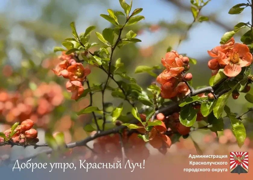 Доброе утро, краснолучане и гости города!