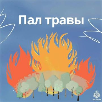 Пал сухой травы: опасность, которую можно избежать!