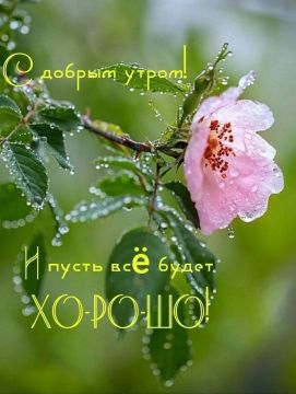 � ������ �����, ������� ������ �������������� �������������� ������!