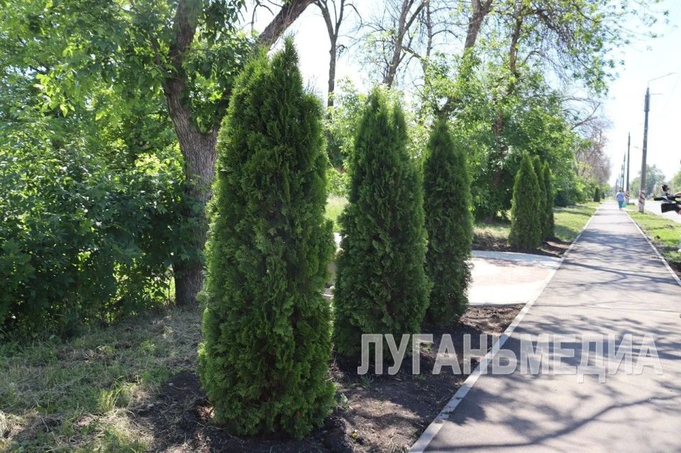 В Свердловске продолжается благоустройство общественных территорий В Свердловске продолжается благоустройство общественных территорий
