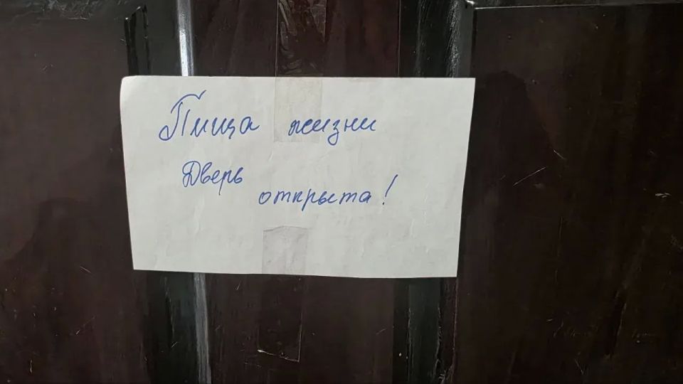 Забота, объединяющая поколения: школьники Рубежного взяли шефство над одинокими пожилыми горожанами Забота, объединяющая поколения: школьники Рубежного взяли шефство над одинокими пожилыми горожанами