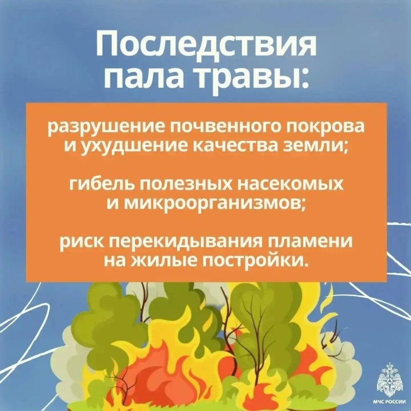 Пал сухой травы: опасность, которую можно избежать! Пал сухой травы: опасность, которую можно избежать!