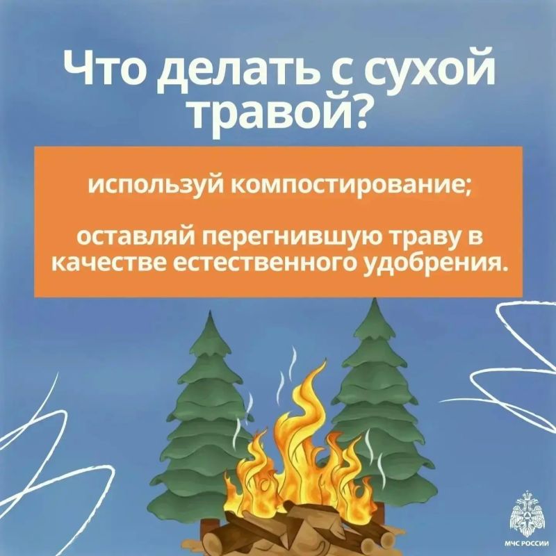 Пал сухой травы: опасность, которую можно избежать! Пал сухой травы: опасность, которую можно избежать!
