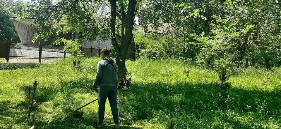 Работы по благоустройству городского округа Работы по благоустройству городского округа