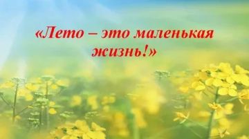 Лето — это маленькая жизнь