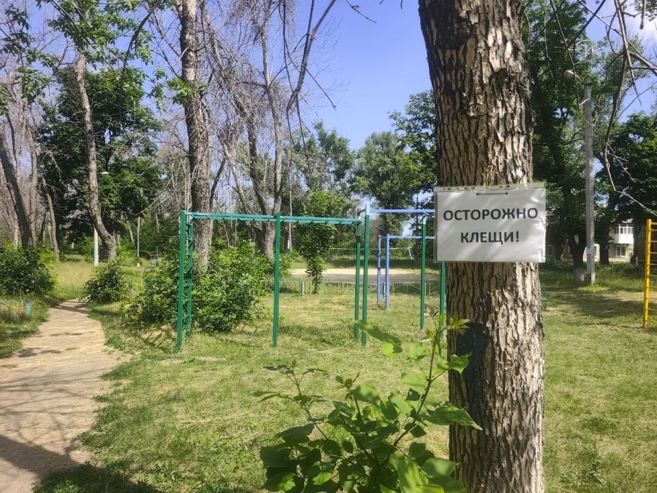 Сегодня активисты местного отделения партии «Единая Россия» провели мониторинг безопасности на детской площадке в парке имени В. Терешковой в Суходольске Сегодня активисты местного отделения партии «Единая Россия» провели мониторинг безопасности на детской площадке в парке имени В. Терешковой в Суходольске